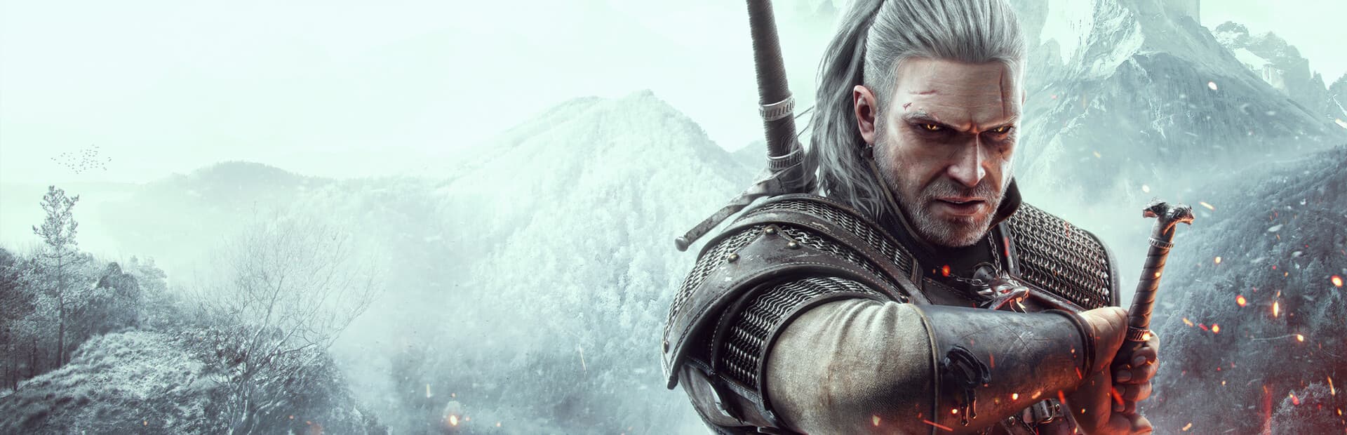 The Witcher — banner