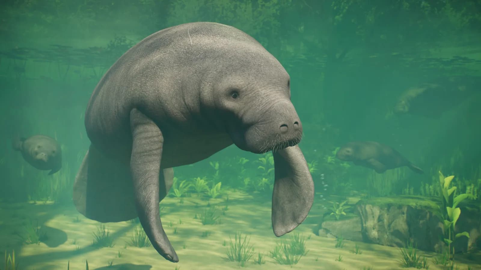 Planet Zoo 2 manatee drifting over a green seabed with sunlight filtering through the water