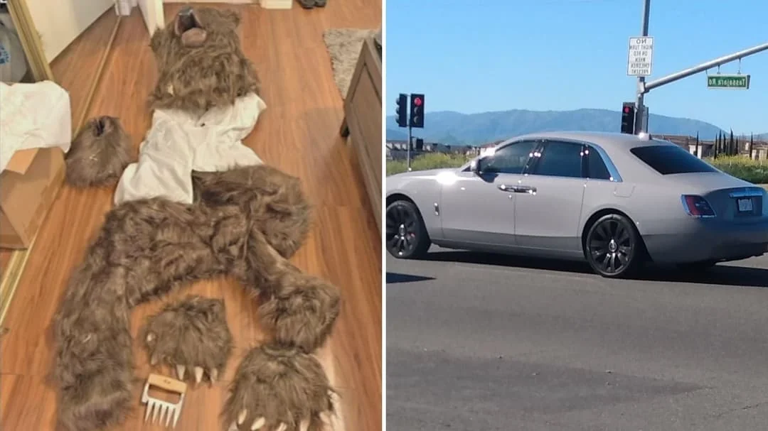 Insurance Fraud Scheme Fake Bear Attack: 3 Get 180 Days Jail