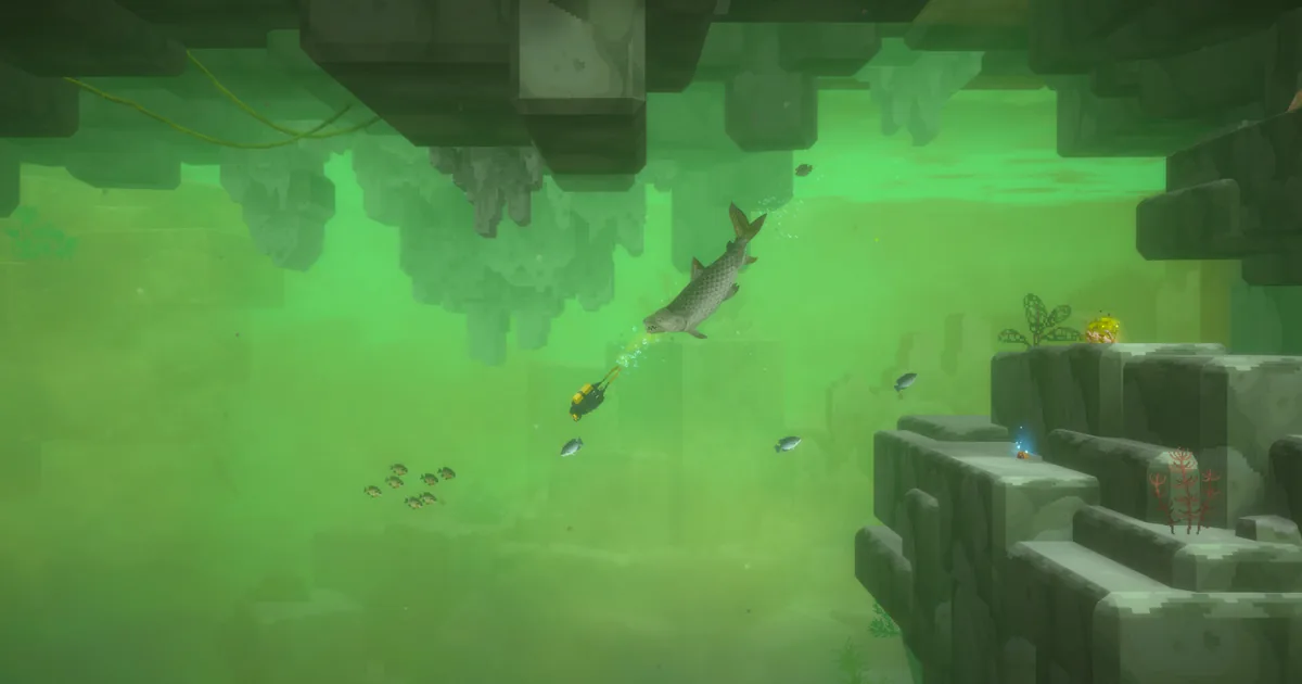 Dave the Diver Wild Boar Guide: New August Update 2026