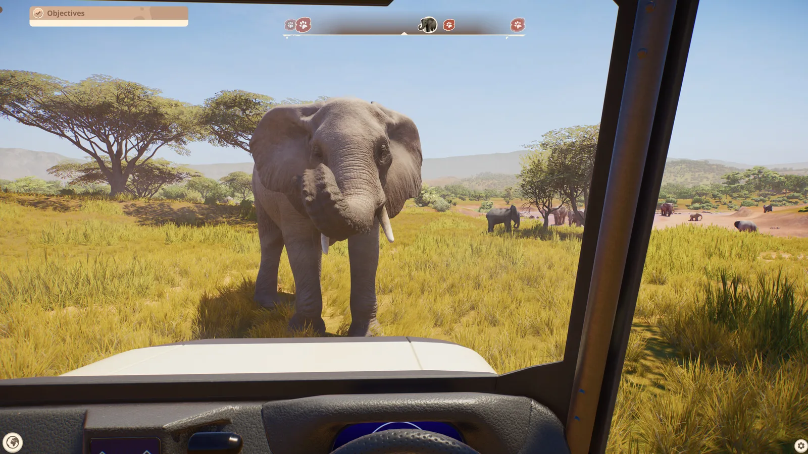 An elephant stands in front of a vehicle windscreen on a savanna with a herd and acacia trees behind it
