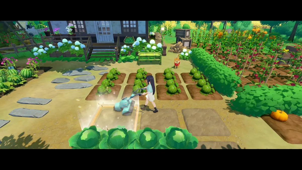 Player pushes a robotic tiller across a Homestead plot next to rows of watermelon, a cabbage patch, and corn stalks backed by a trellis of red berries