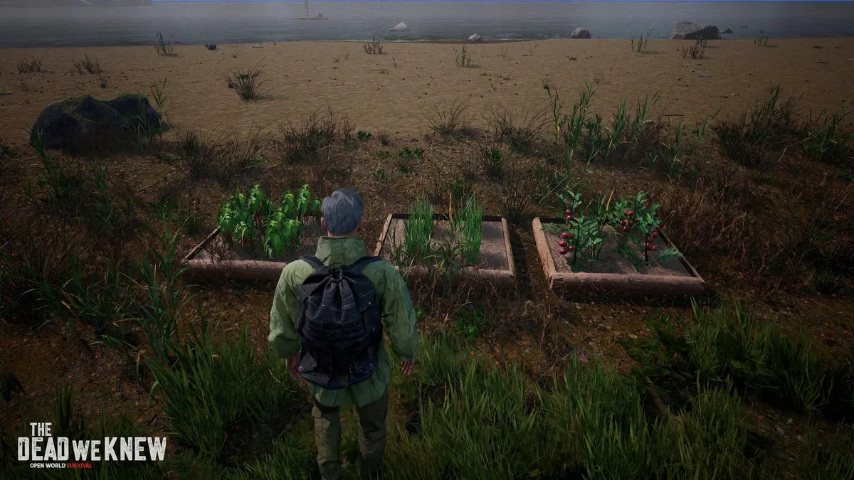 A grey-haired survivor with a black backpack stands by three raised garden beds, one growing tomatoes, near a sandy shore